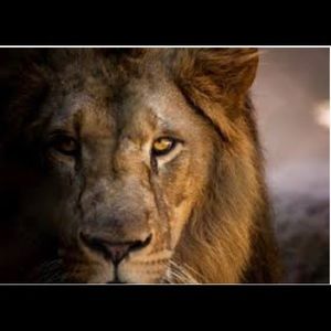 Meet your Posher, Sand